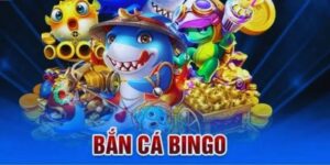 bắn cá bingo fun88